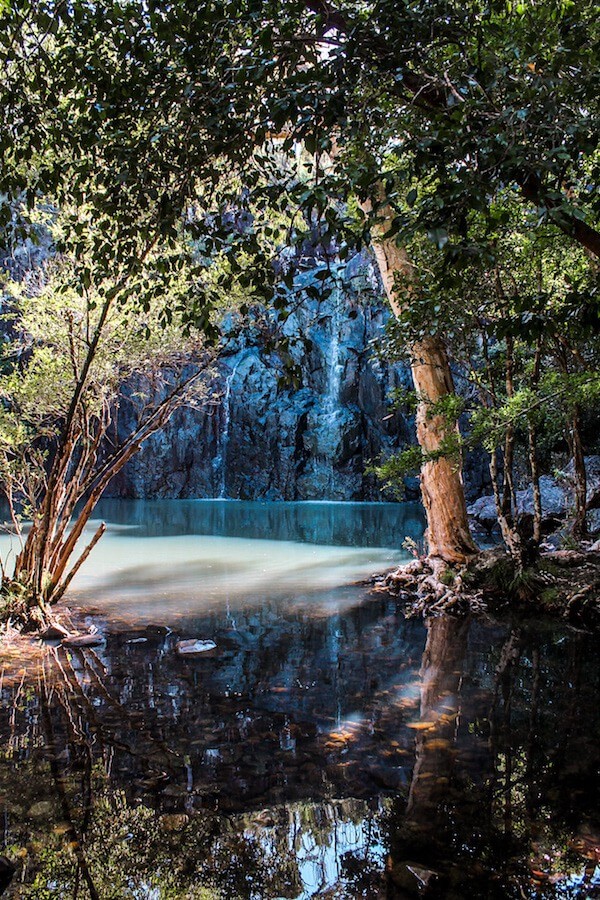 cedar creek falls outside of airlie beach