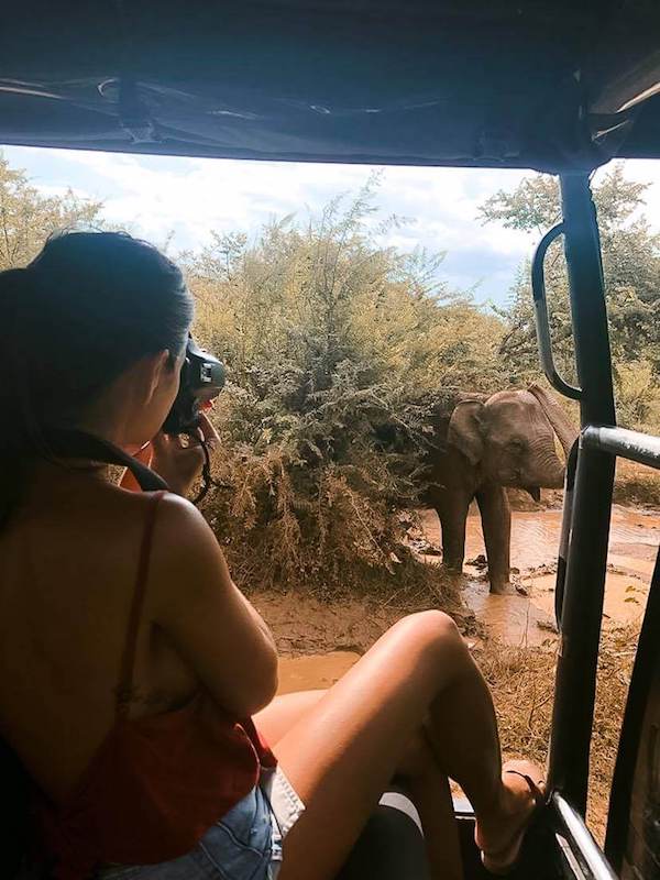 packing list - girl taking photo of elephant on a safari in sri lanka