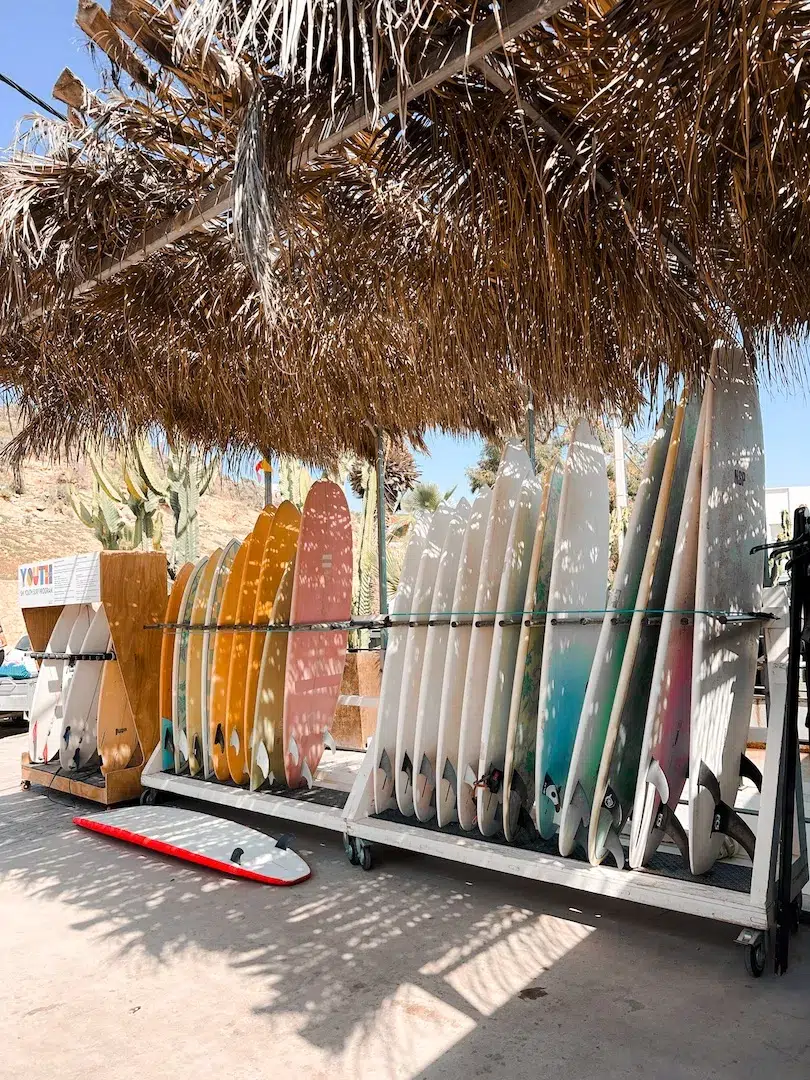 surf maroc taghazout morocco