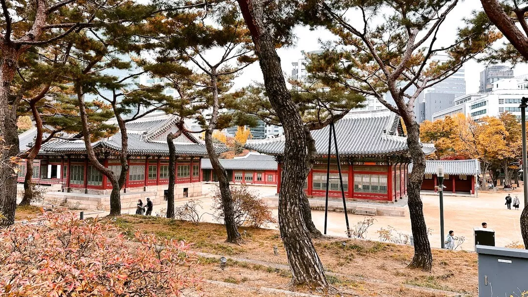 things to do in seoul