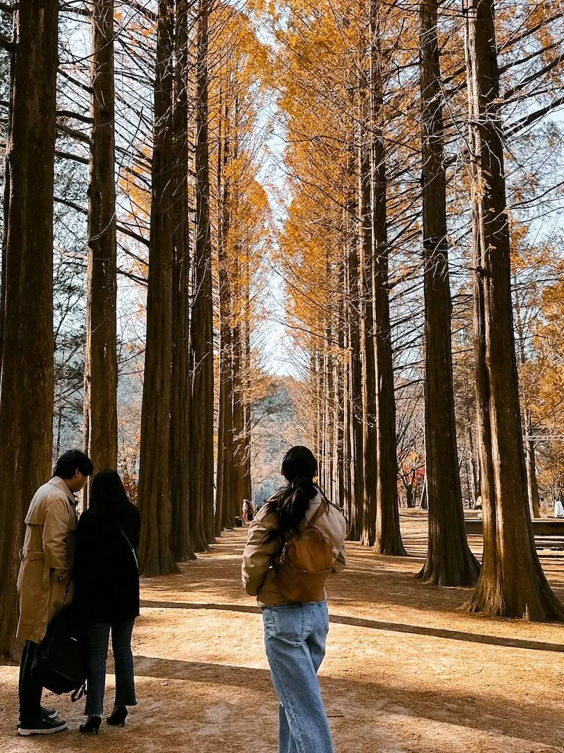 things to do in seoul