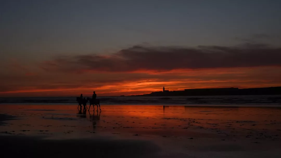 essaouira morocco horseback riding