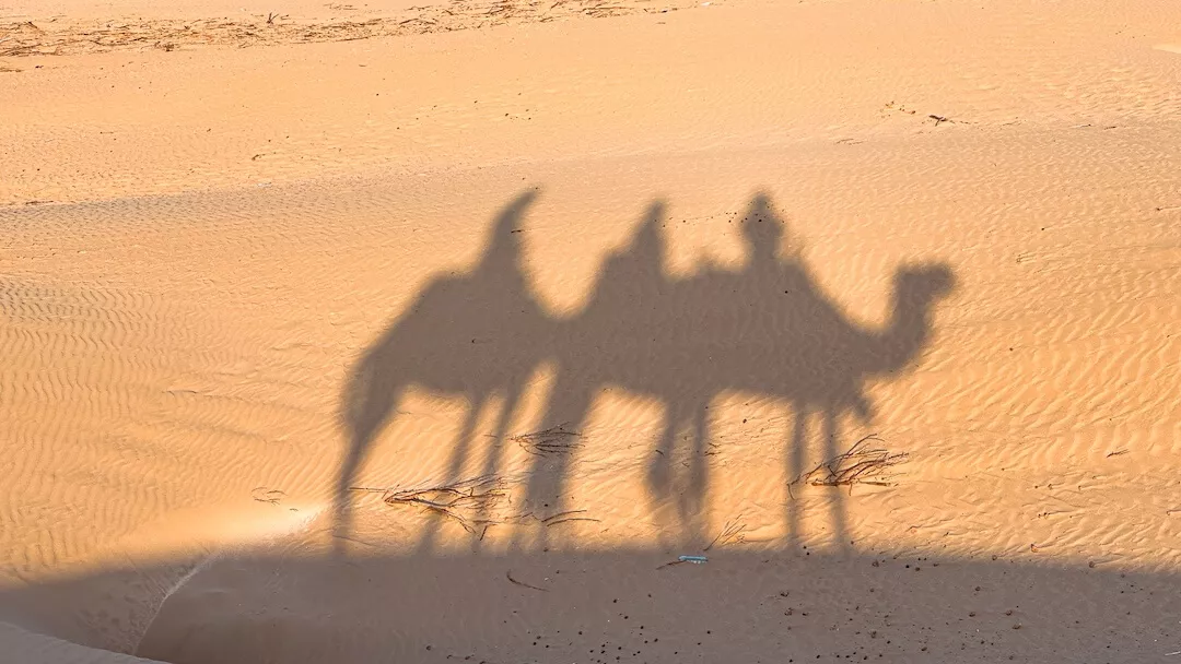 essaouira morocco palma  quad tours camel sunset
