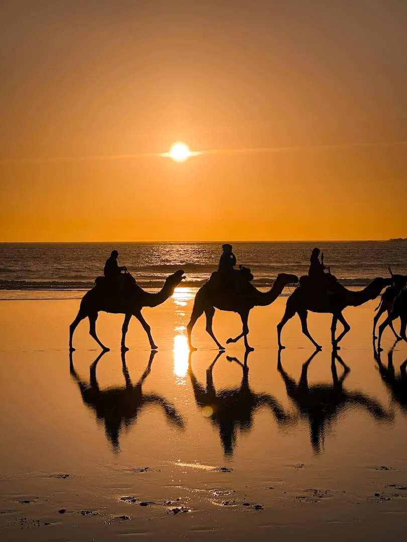 essaouira morocco sunset camel riding