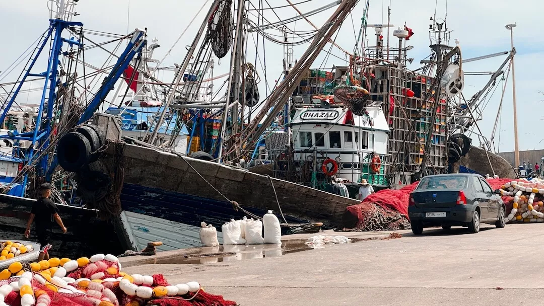 essaouira morocco seafood